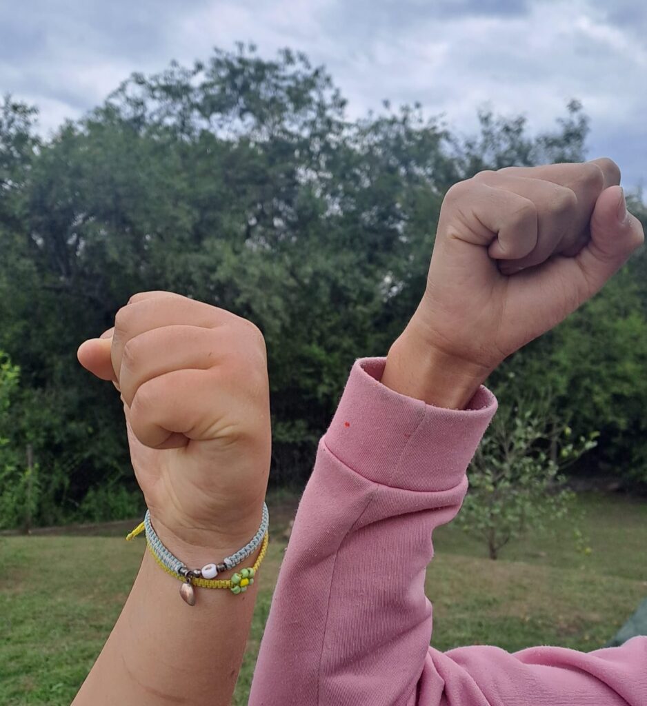 LA ADOPCIÓN COMO POSTURA POLITICA